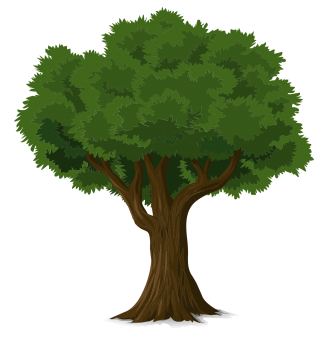albero